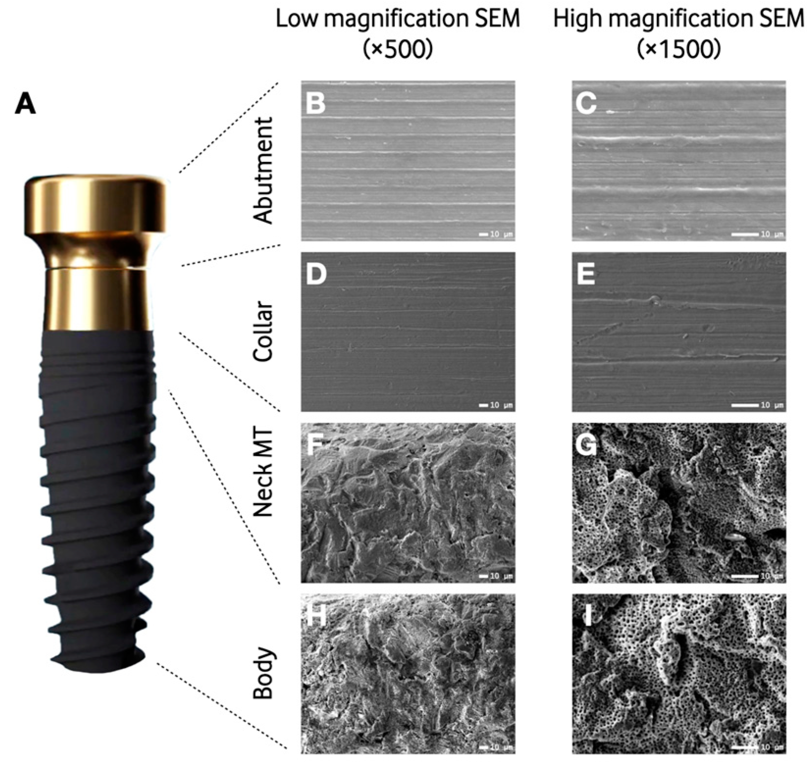 Materials 16 06012 g001 Materials 16 06012 g001