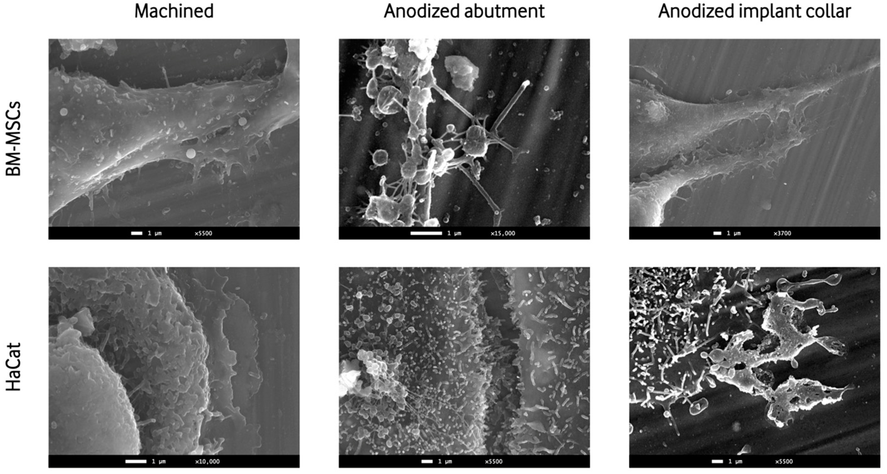 Materials 16 06012 g003 Materials 16 06012 g003