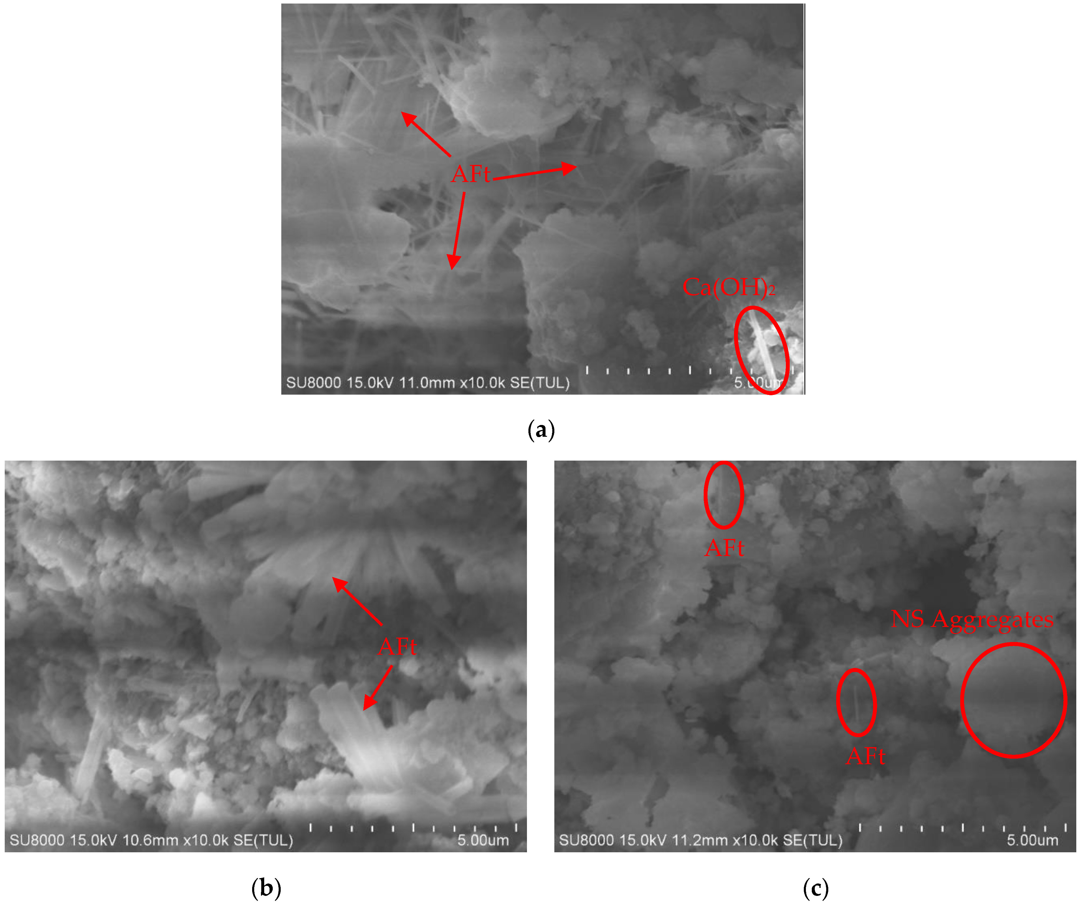 Materials 16 06016 g006