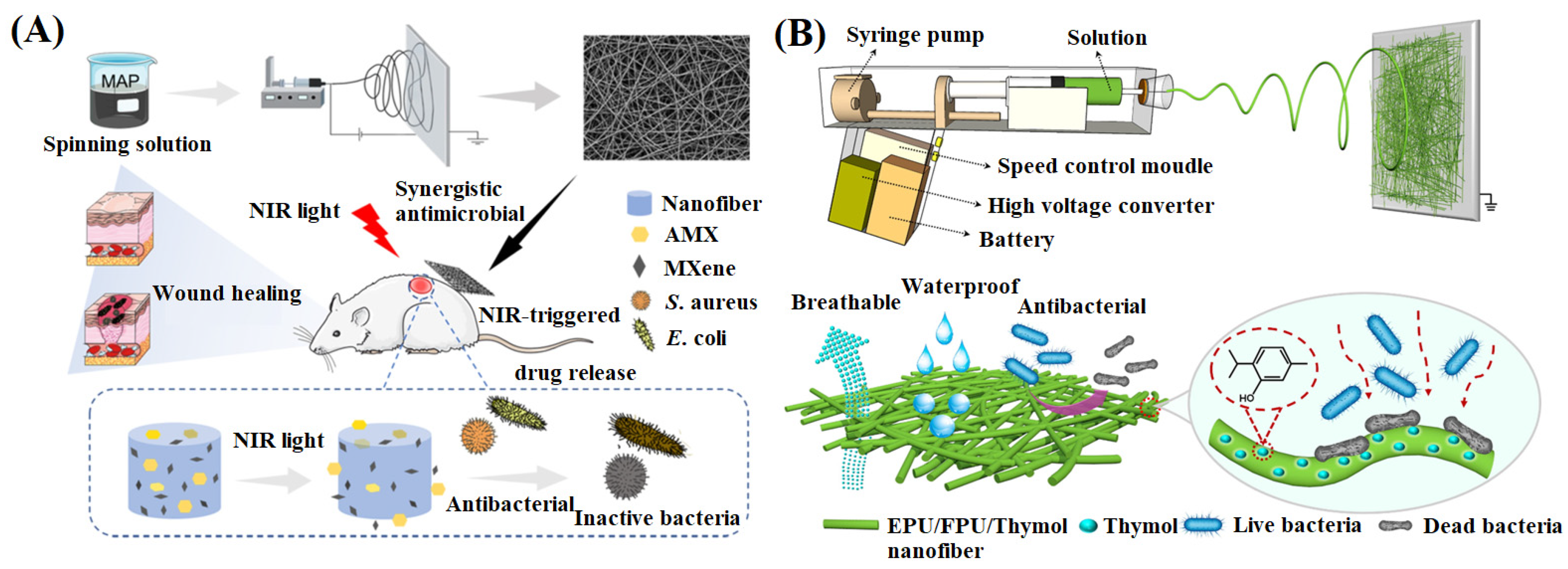 Materials 16 06021 g004