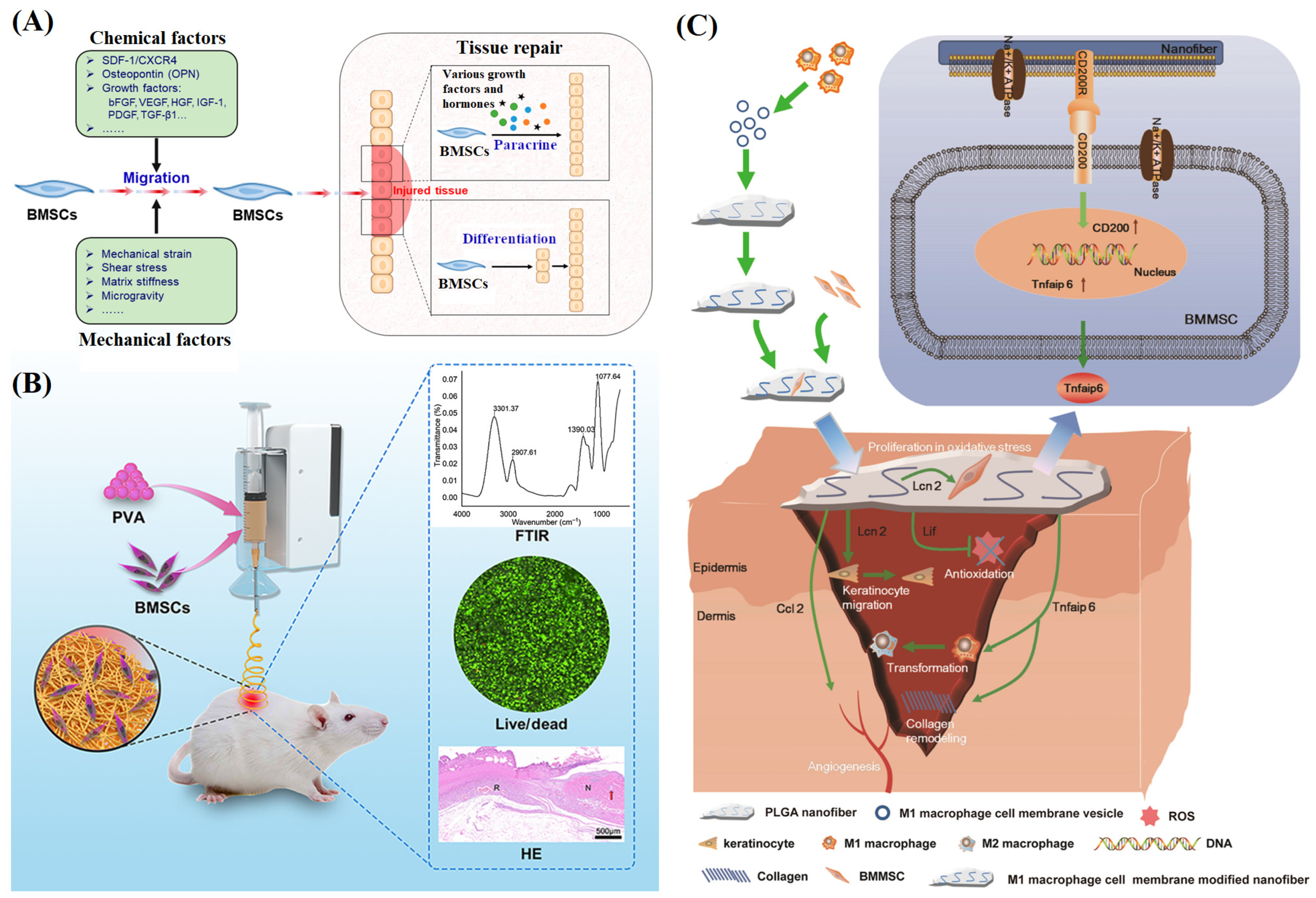 Materials 16 06021 g006
