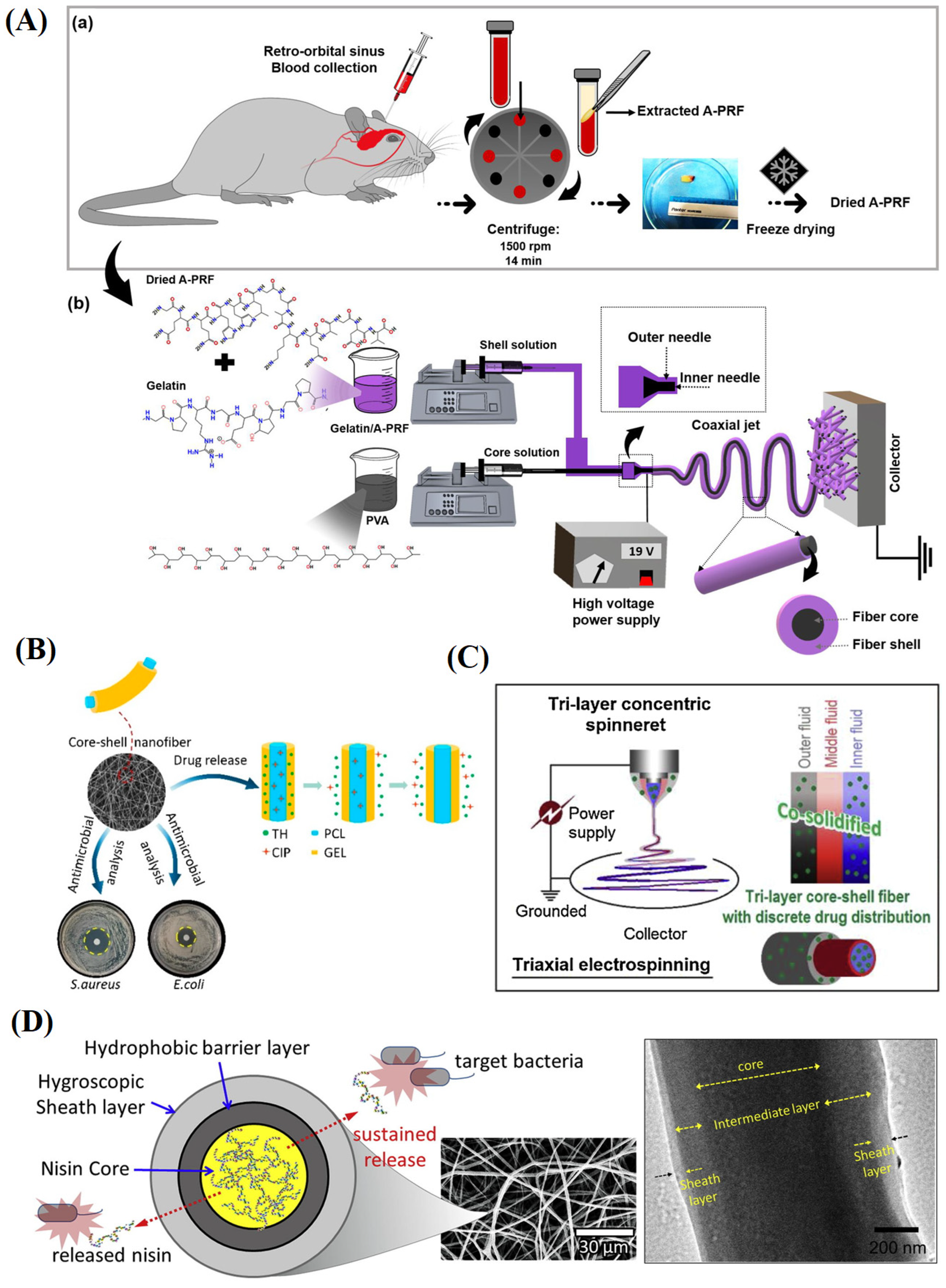 Materials 16 06021 g009