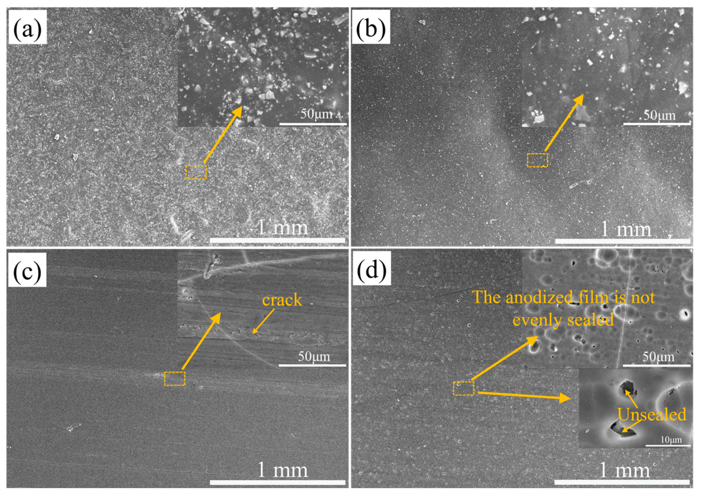 Materials 16 06027 g001