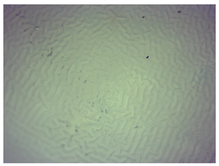 Materials 16 06037 i009