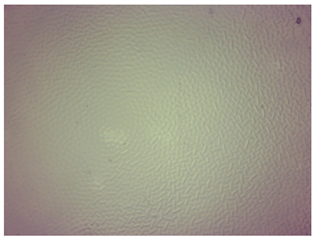 Materials 16 06037 i010