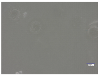 Materials 16 06037 i014