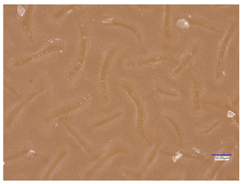 Materials 16 06037 i017