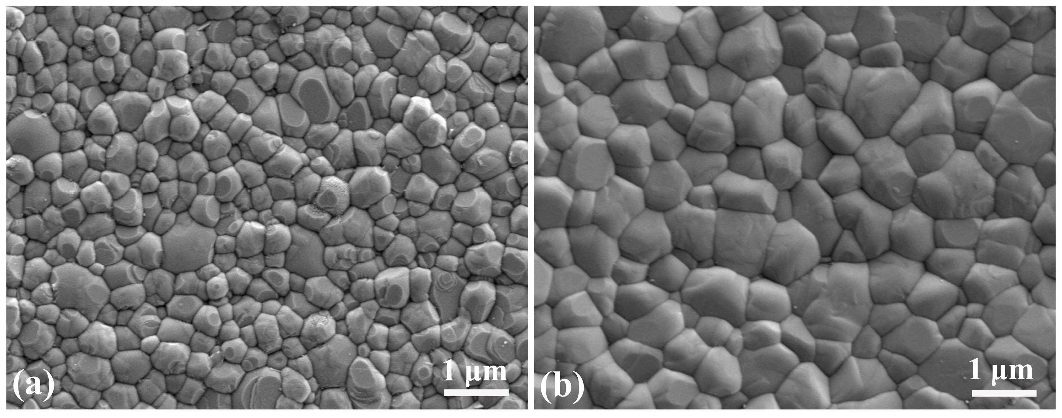 Materials 16 06072 g007