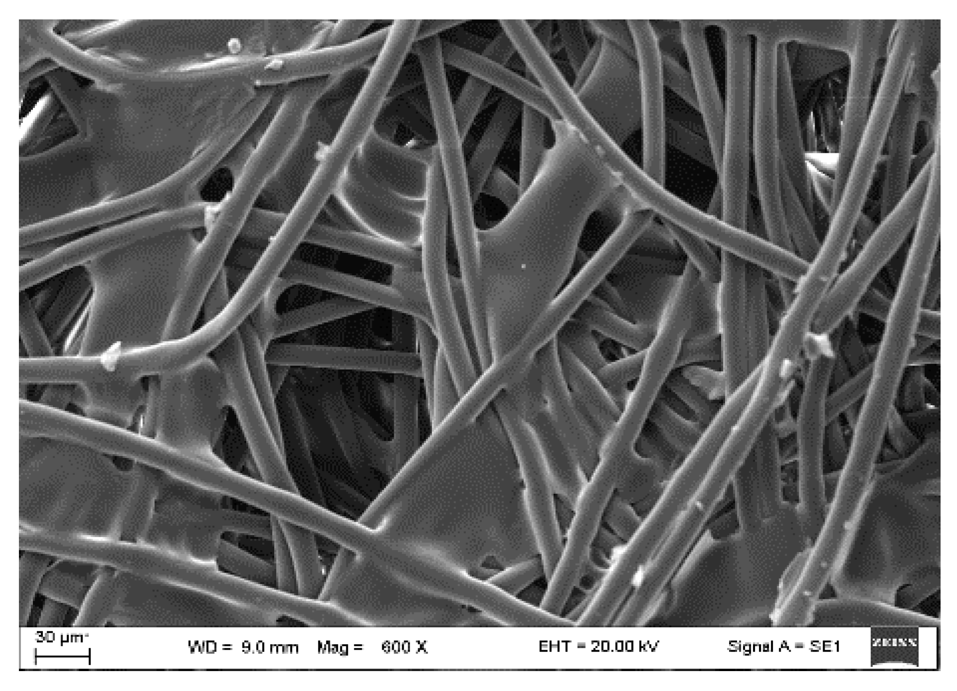 Materials 16 06079 g001 Materials 16 06079 g001