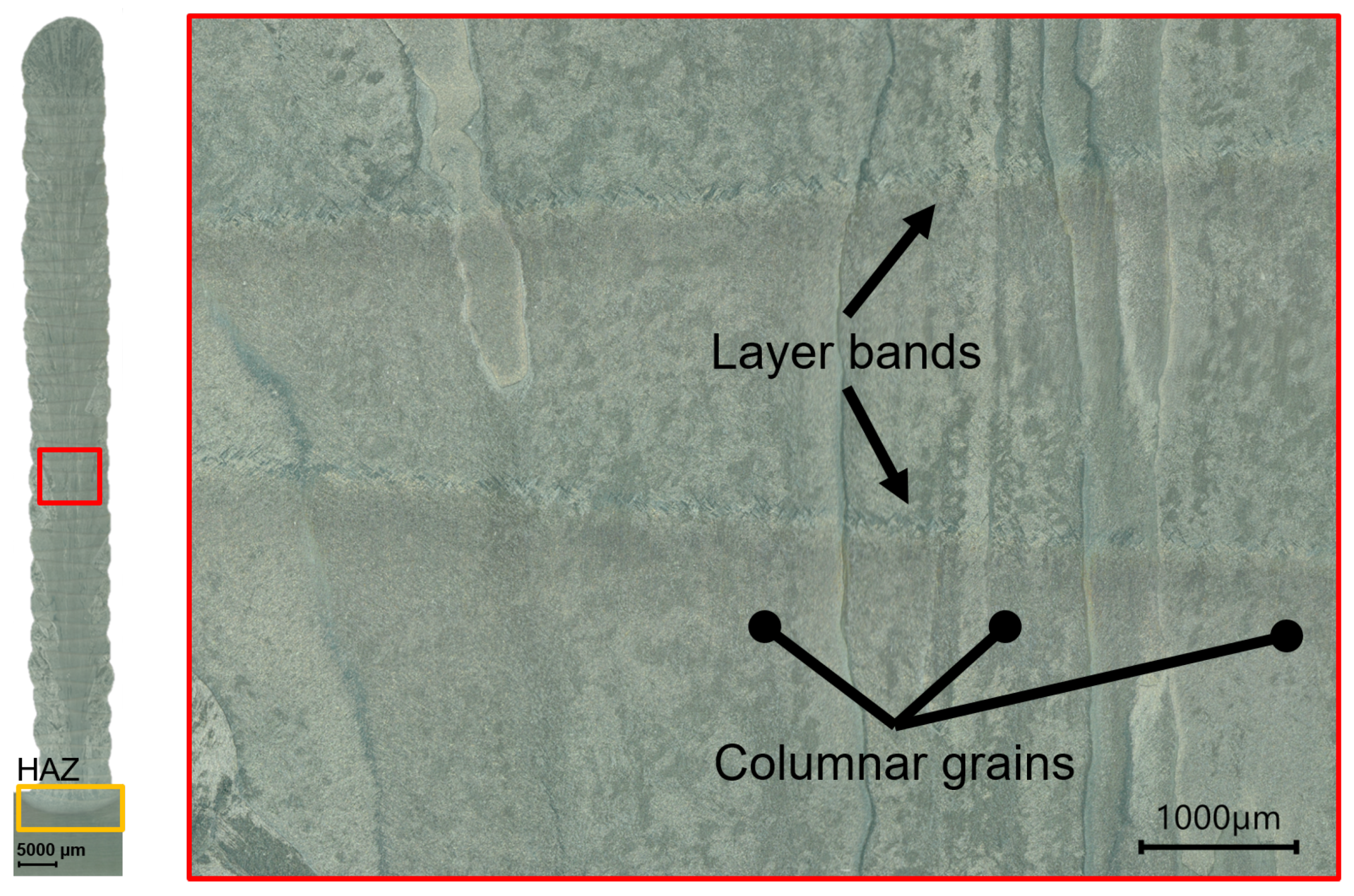 Materials 16 06083 g004