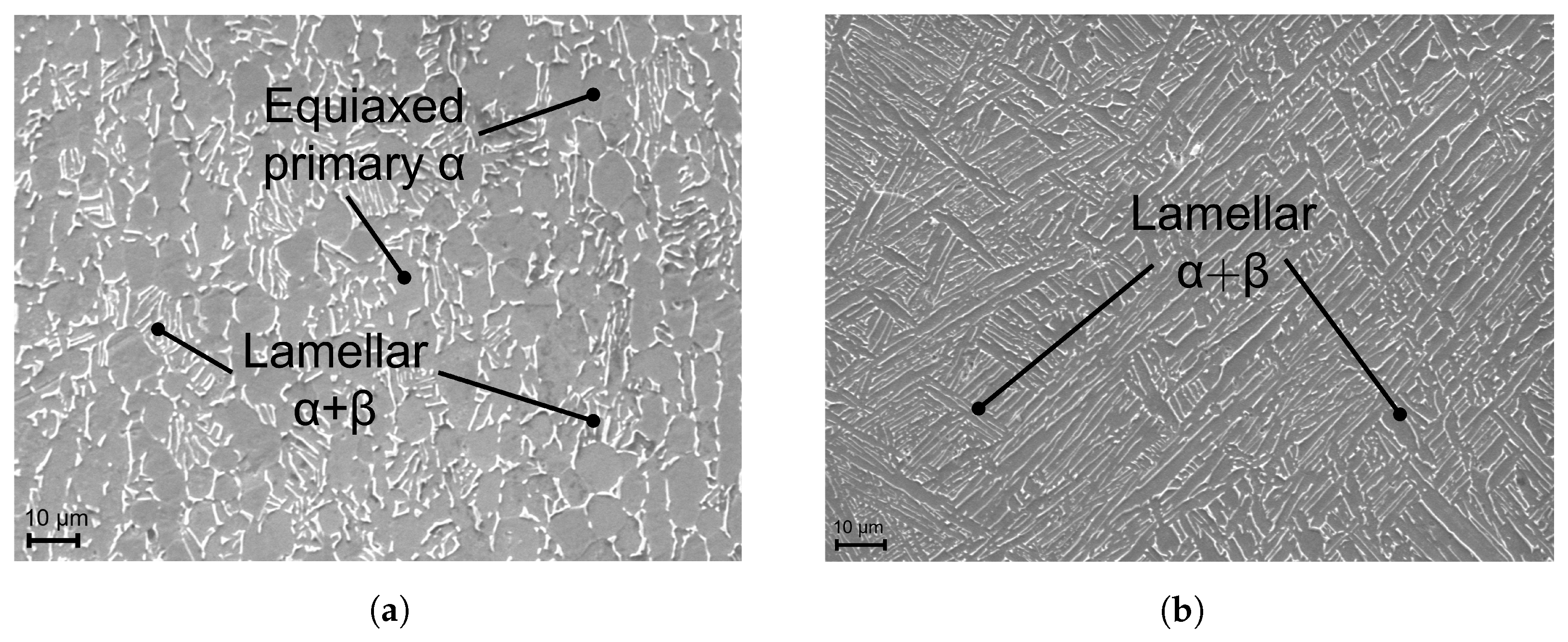 Materials 16 06083 g005