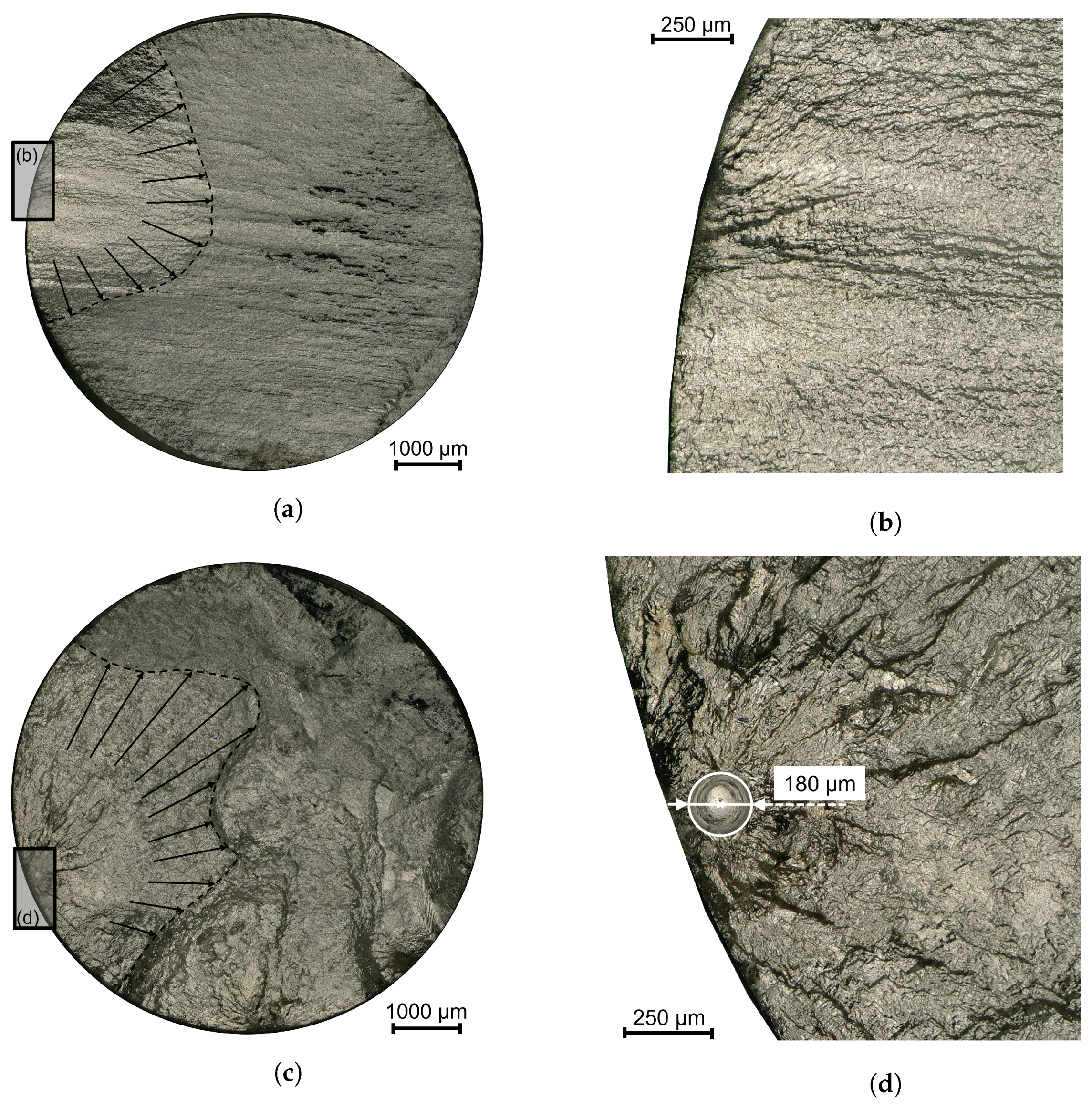 Materials 16 06083 g013