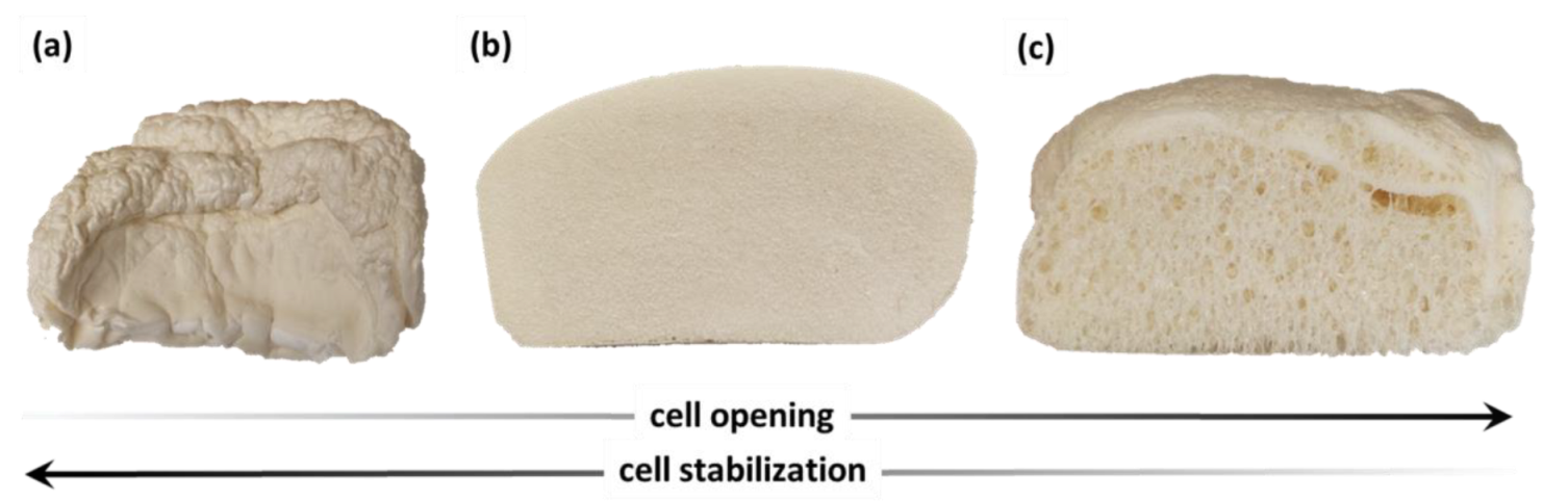 Materials 16 06139 g008