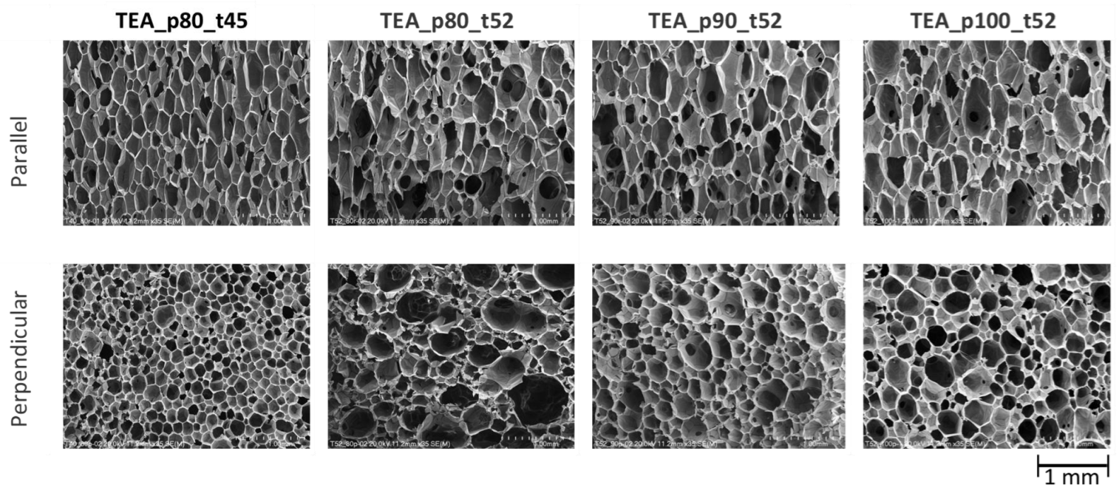 Materials 16 06139 g010