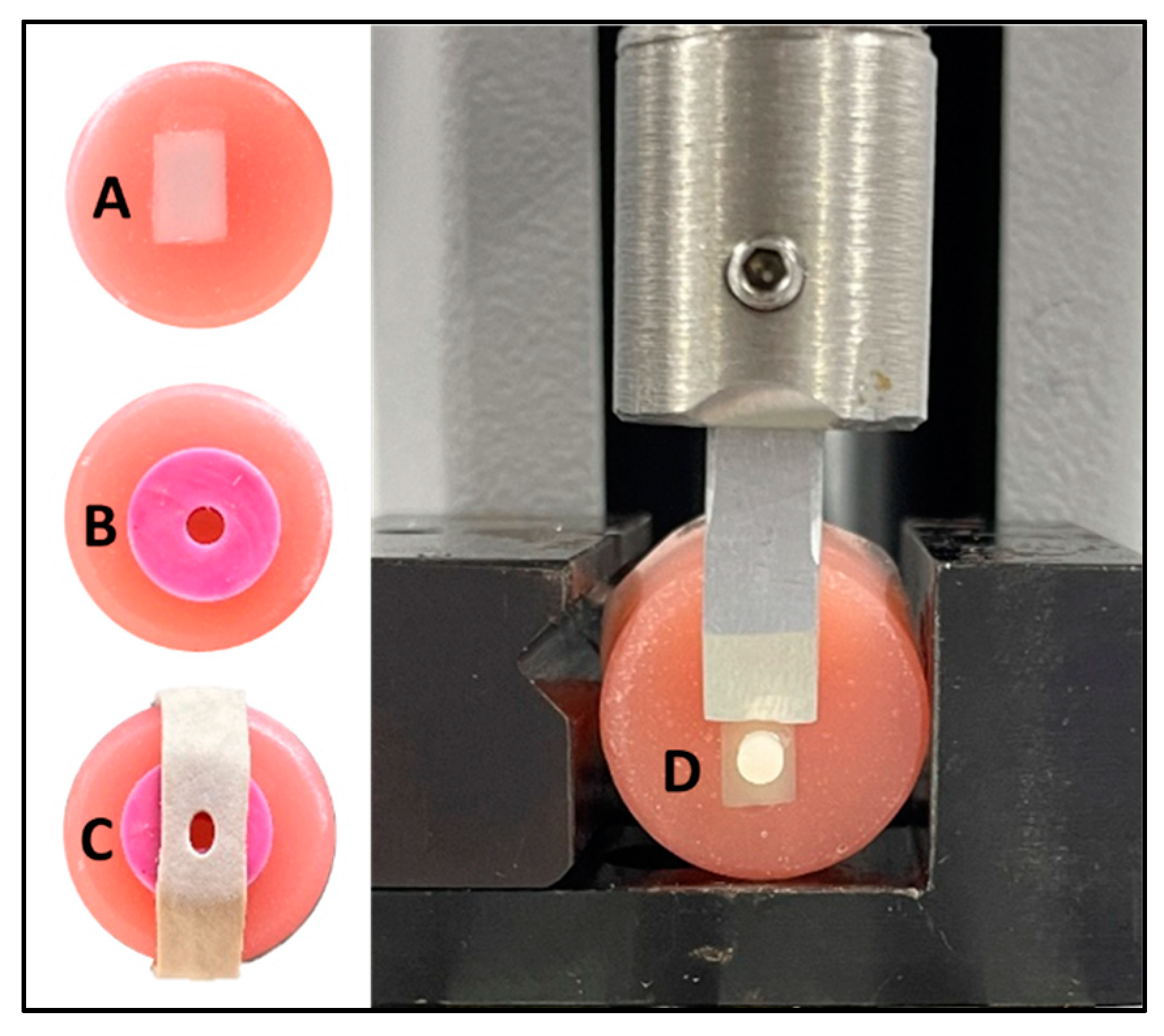 Materials 16 06148 g001