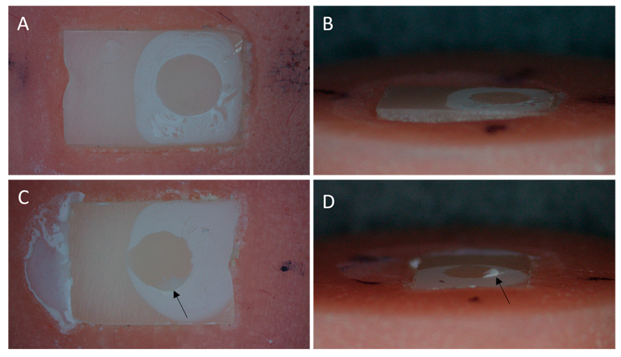 Materials 16 06148 g003