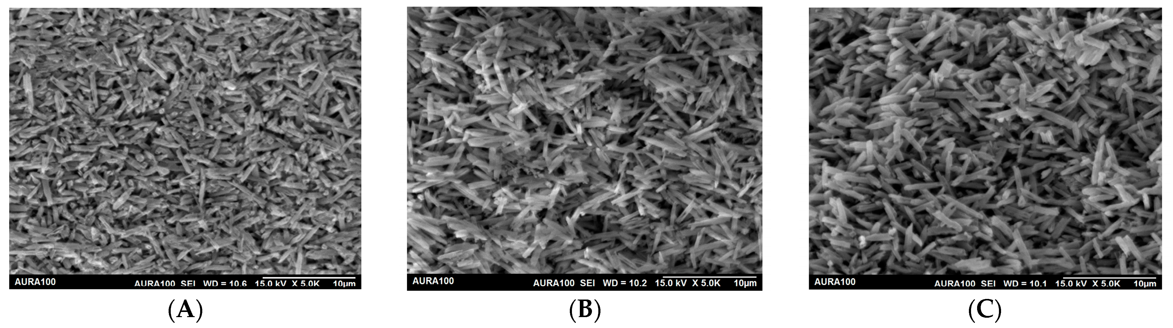 Materials 16 06148 g004