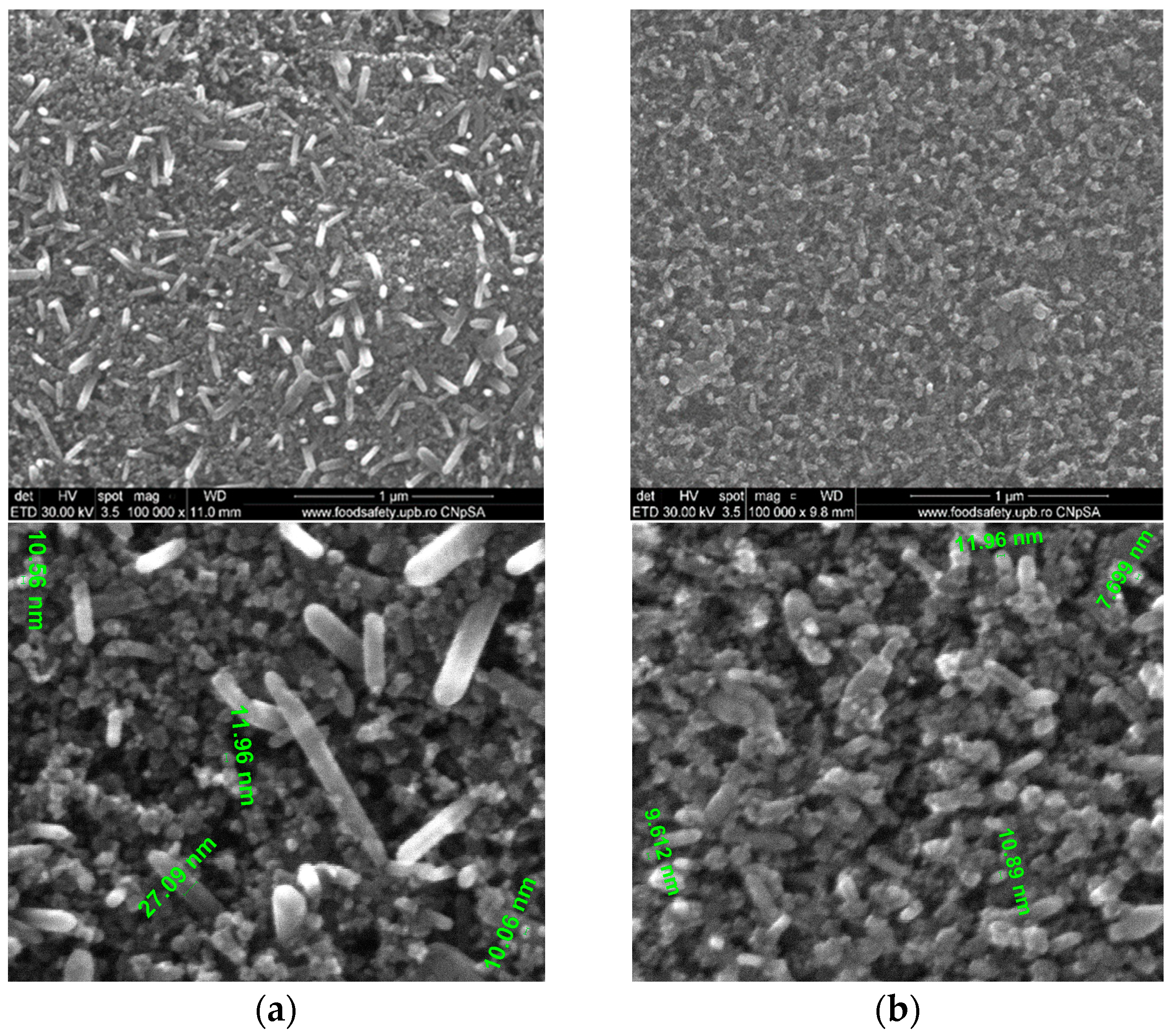 Materials 16 06156 g006a