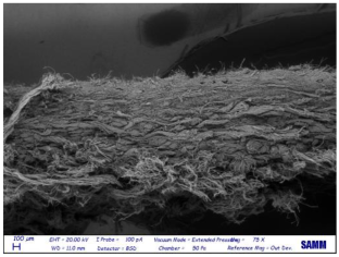 Materials 16 06166 i026