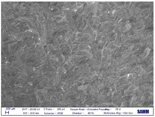 Materials 16 06166 i027