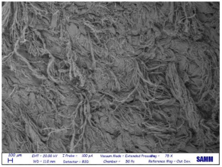 Materials 16 06166 i028