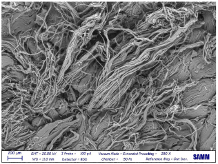 Materials 16 06166 i029