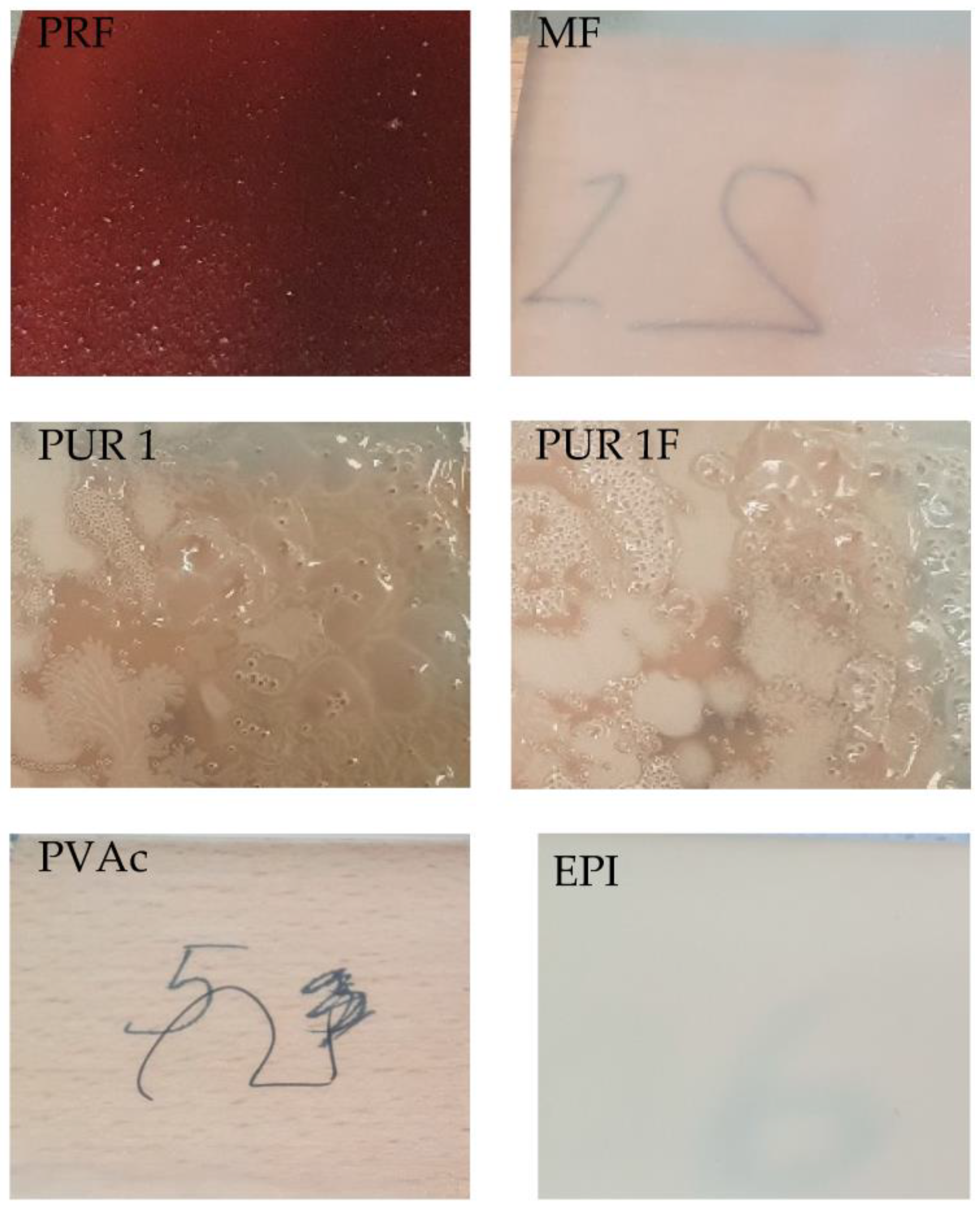 Materials 16 06173 g002