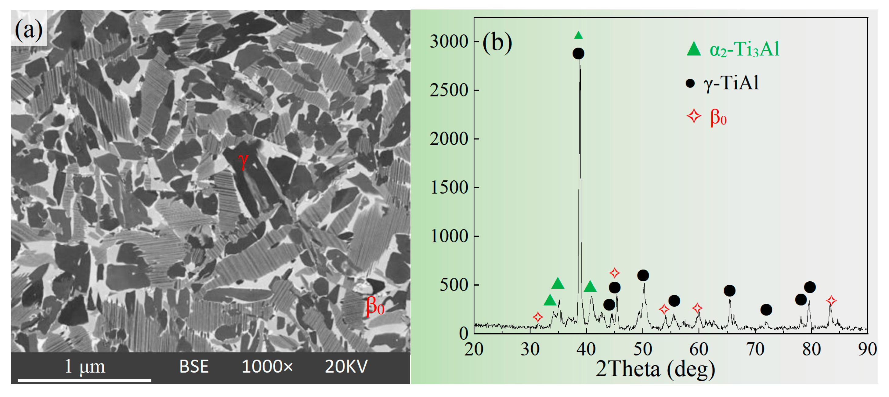 Materials 16 06176 g001