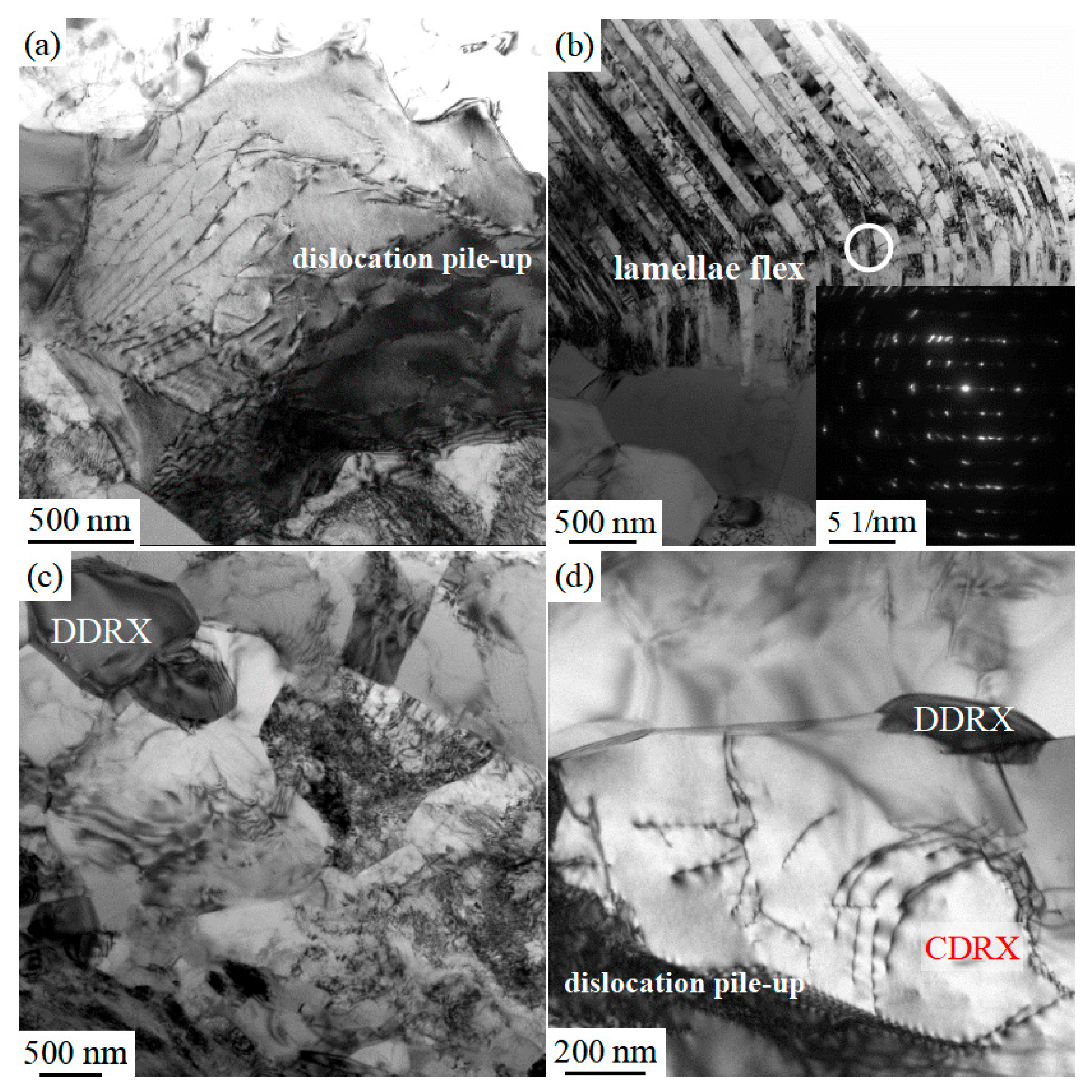 Materials 16 06176 g003