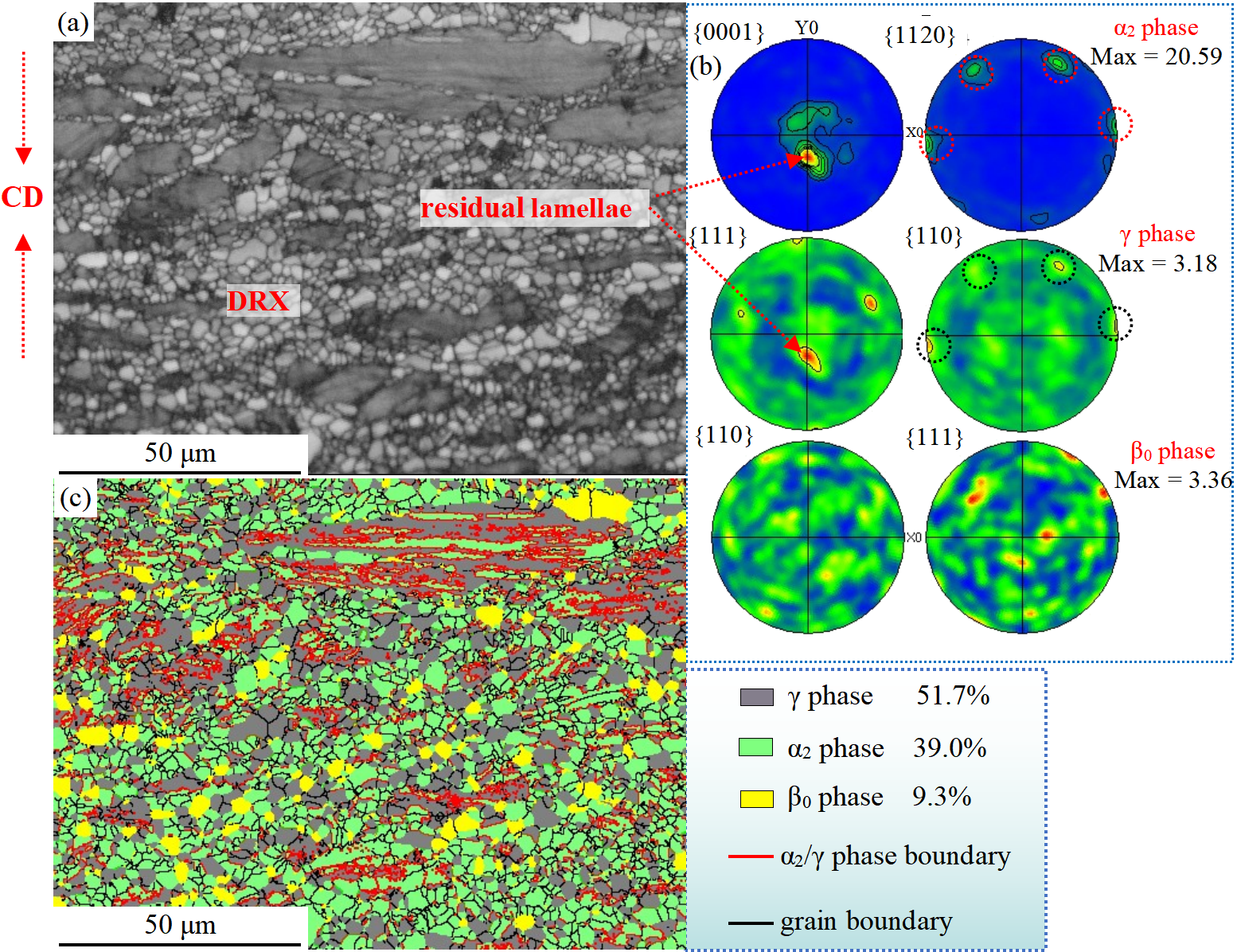 Materials 16 06176 g004