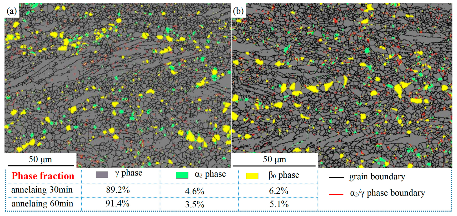 Materials 16 06176 g006