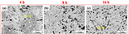 Materials 16 06194 g005