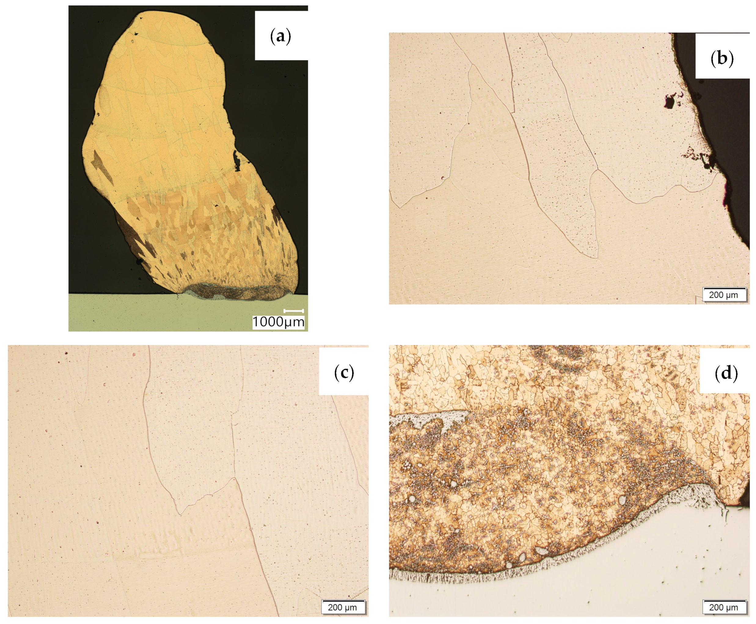 Materials 16 06199 g005