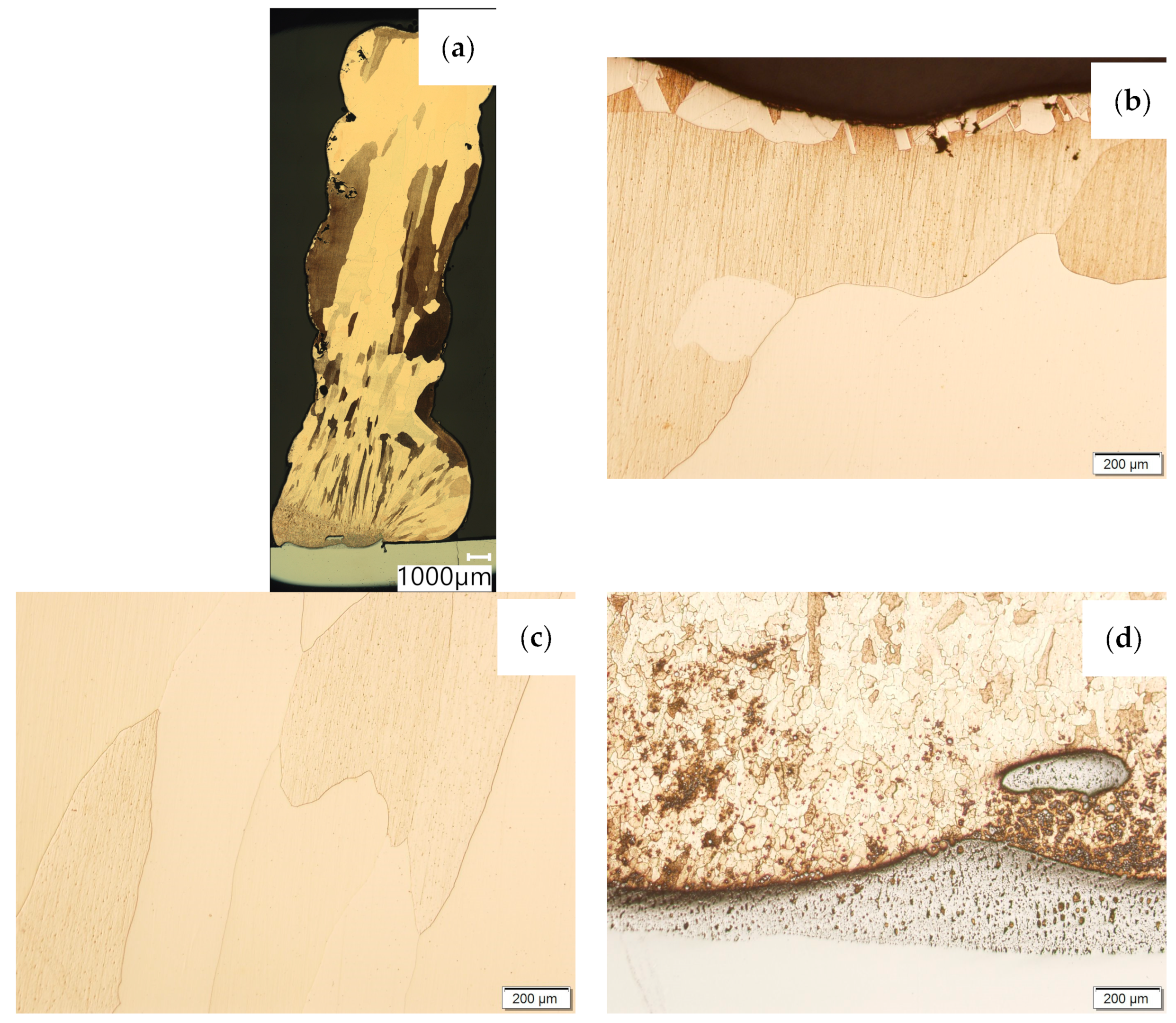 Materials 16 06199 g007