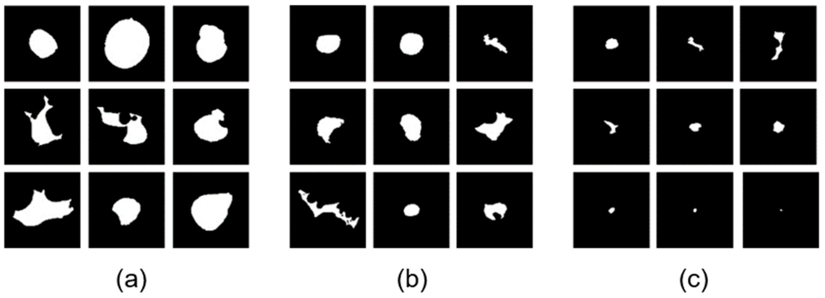 Materials 16 06242 g007