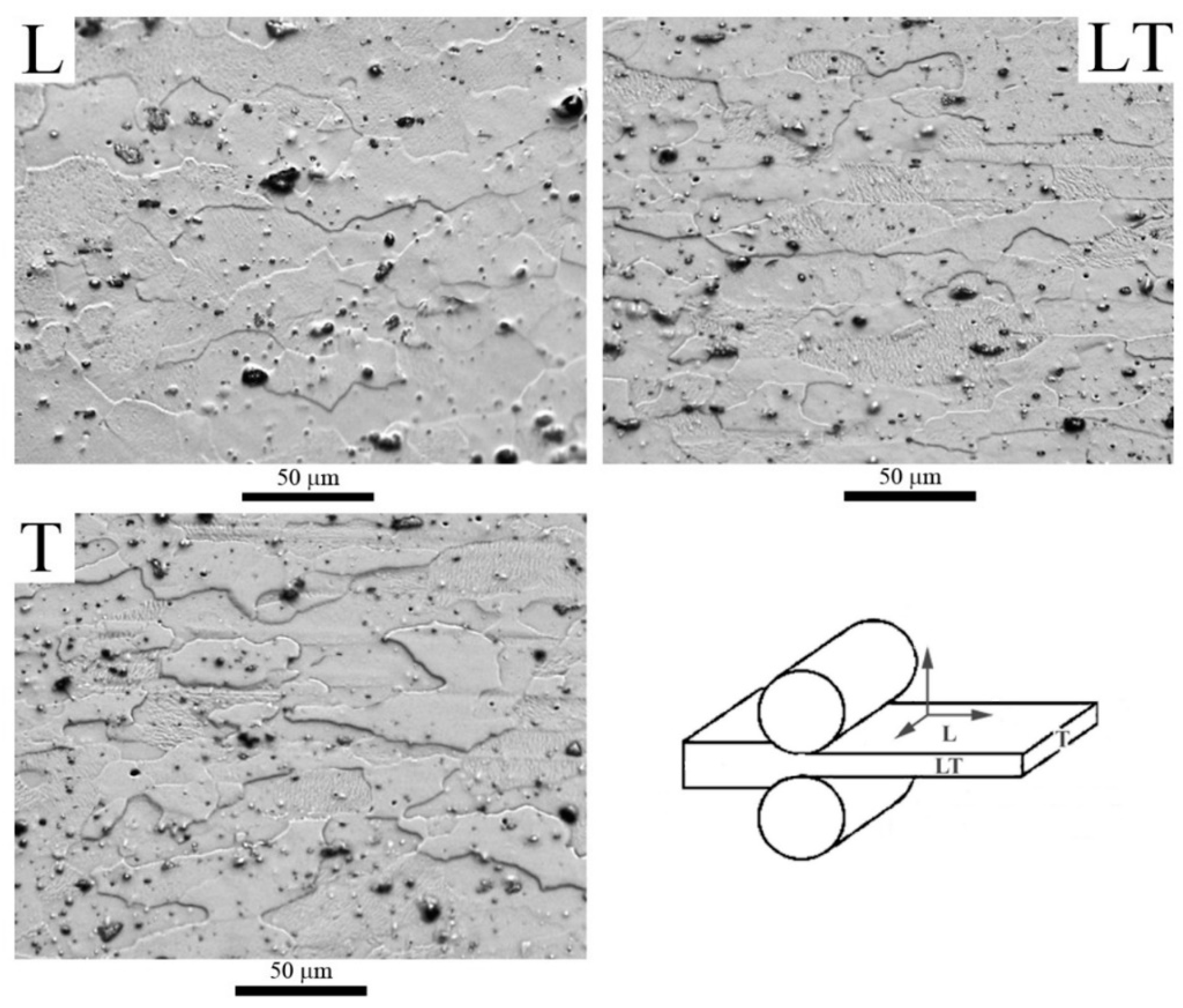 Materials 16 06251 g002