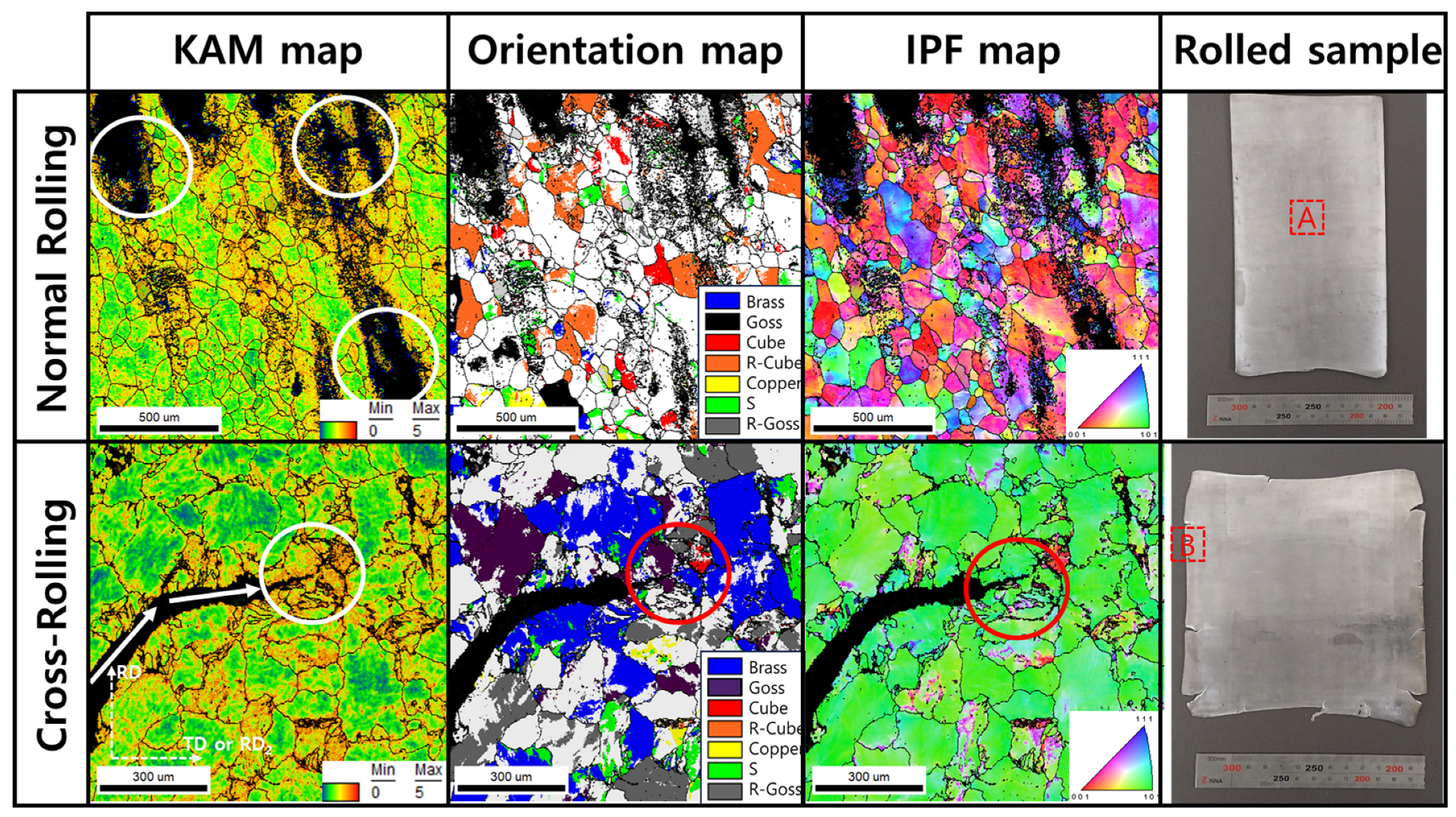 Materials 16 06260 g005