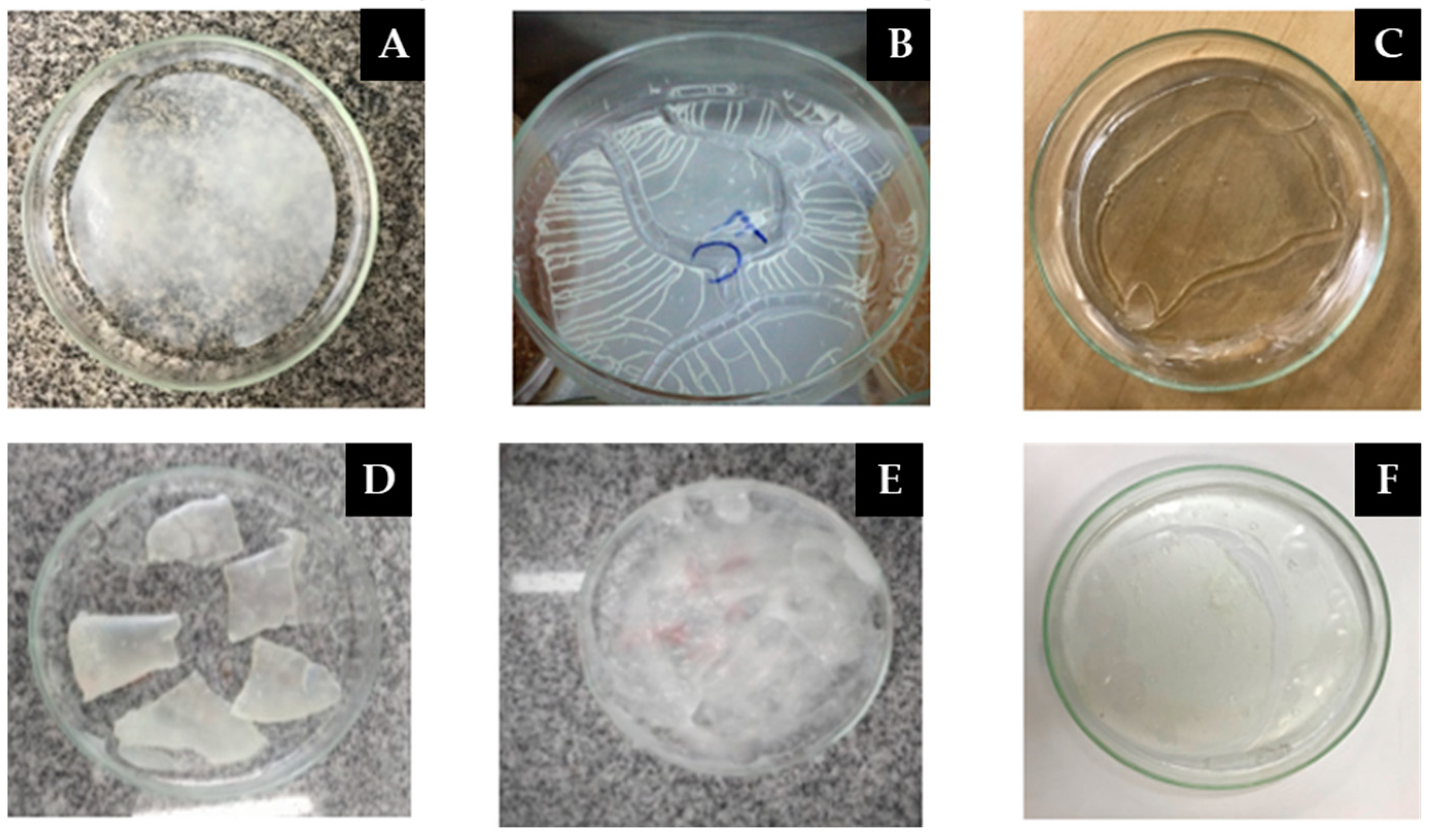 Materials 16 06305 g004