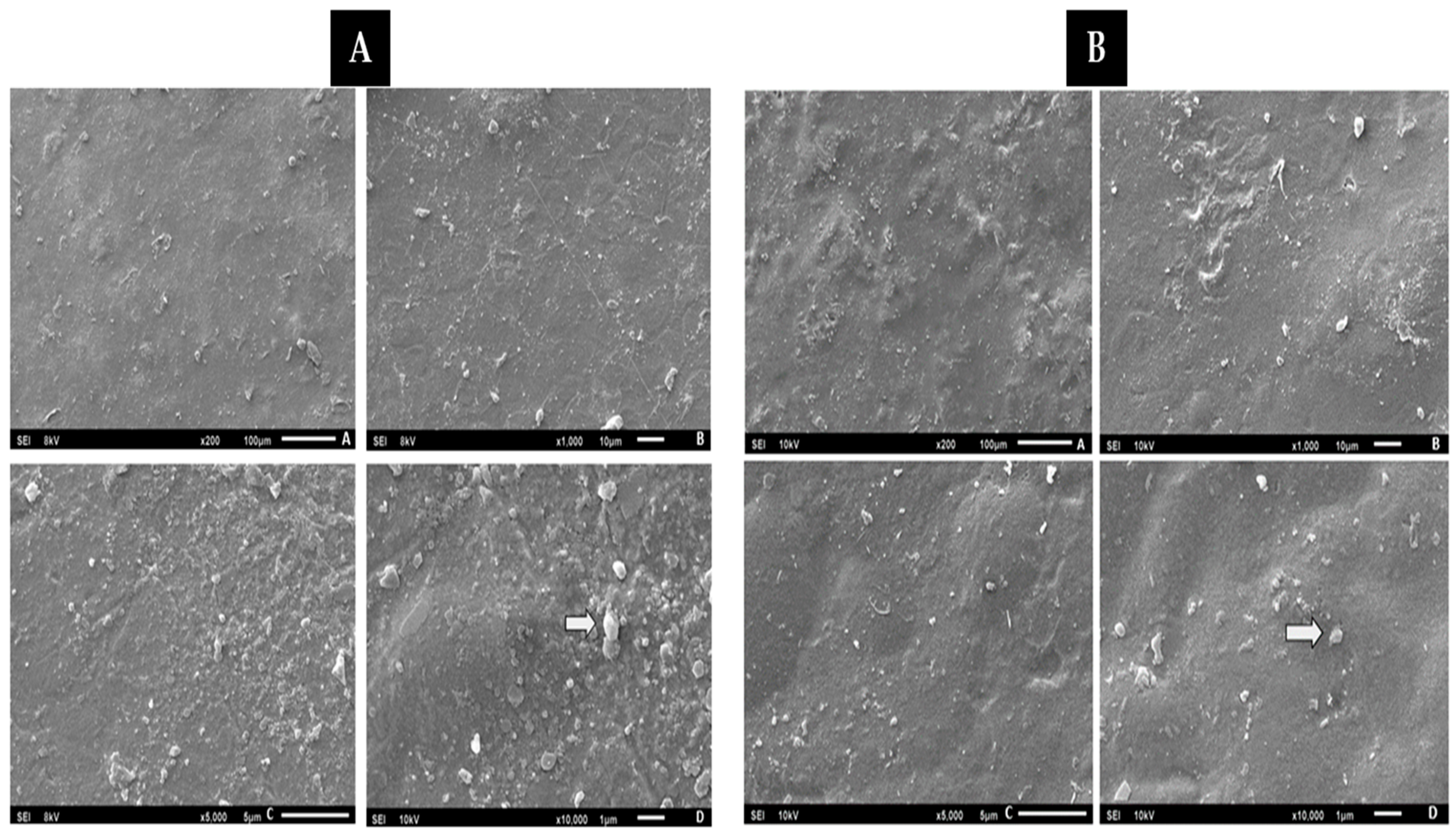 Materials 16 06305 g010