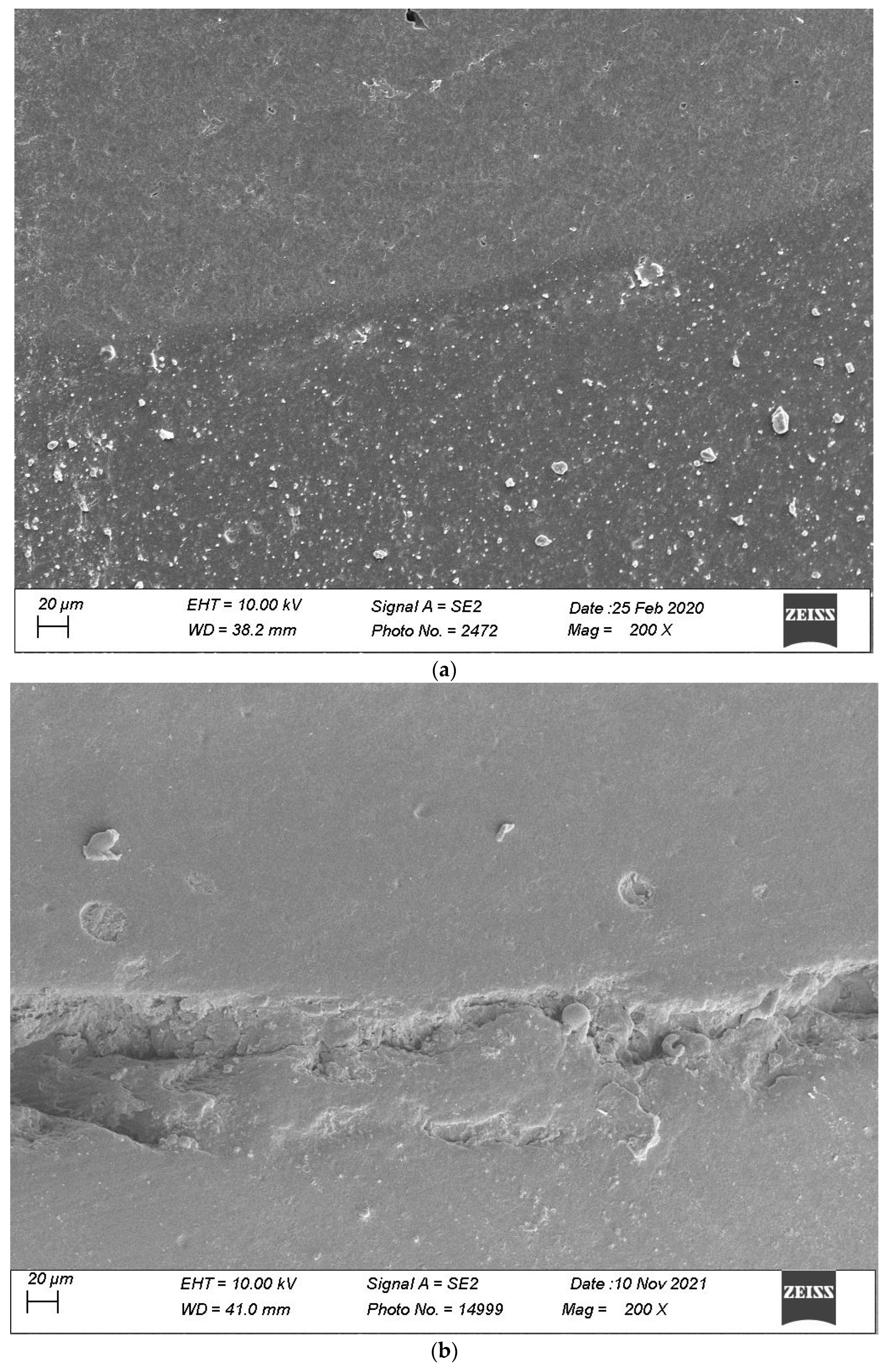 Materials 16 06325 g007