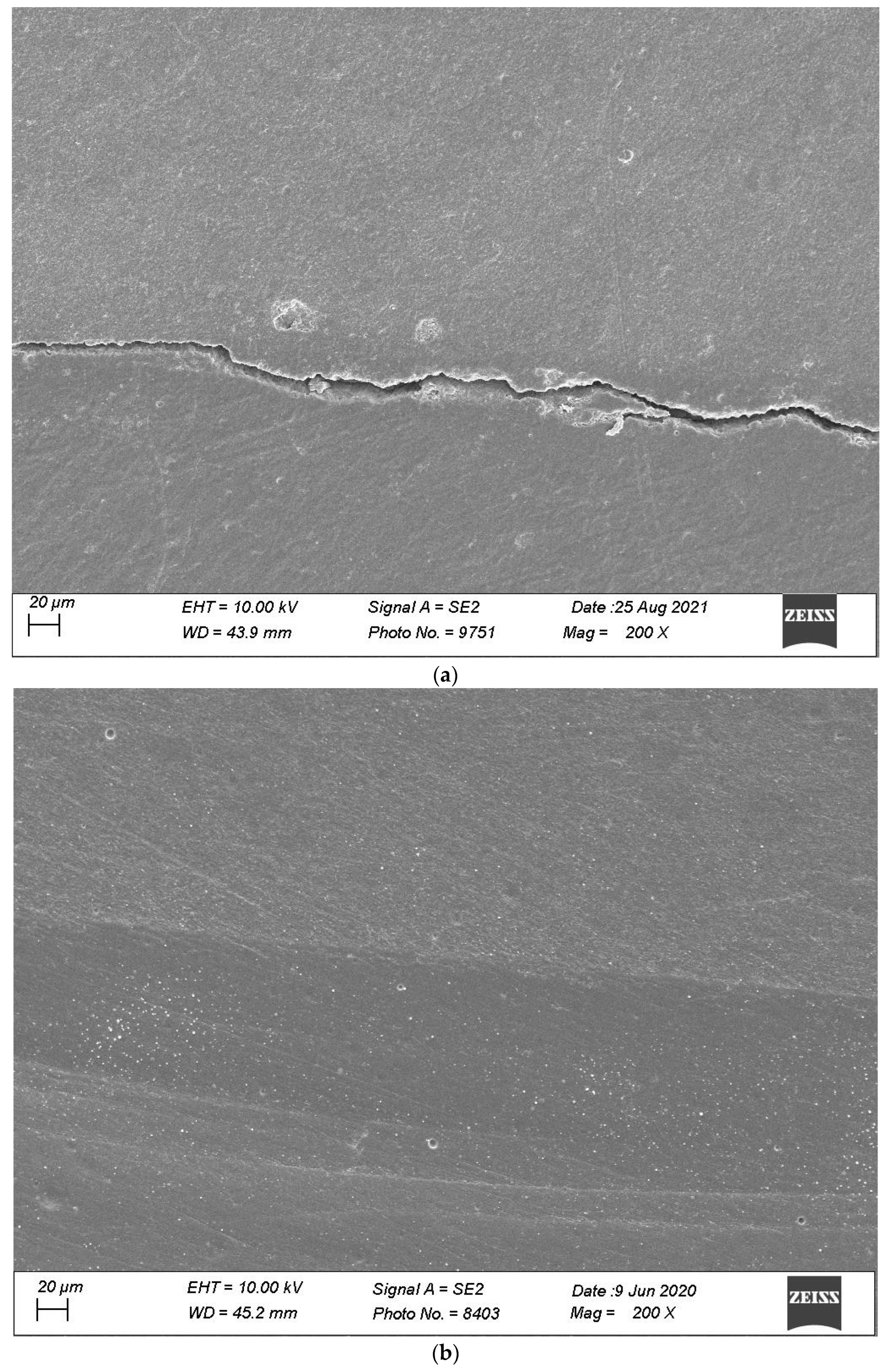 Materials 16 06325 g010