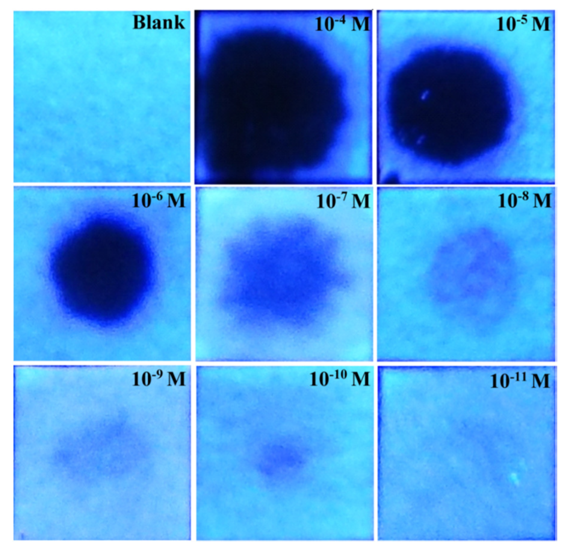 Materials 16 06333 g090