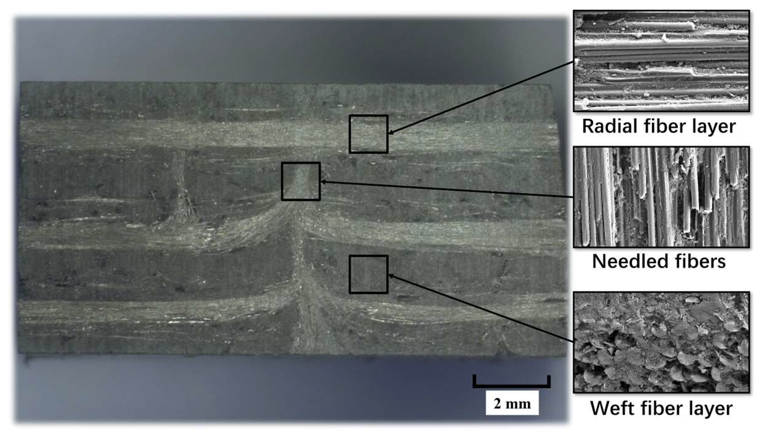 Materials 16 06369 g002