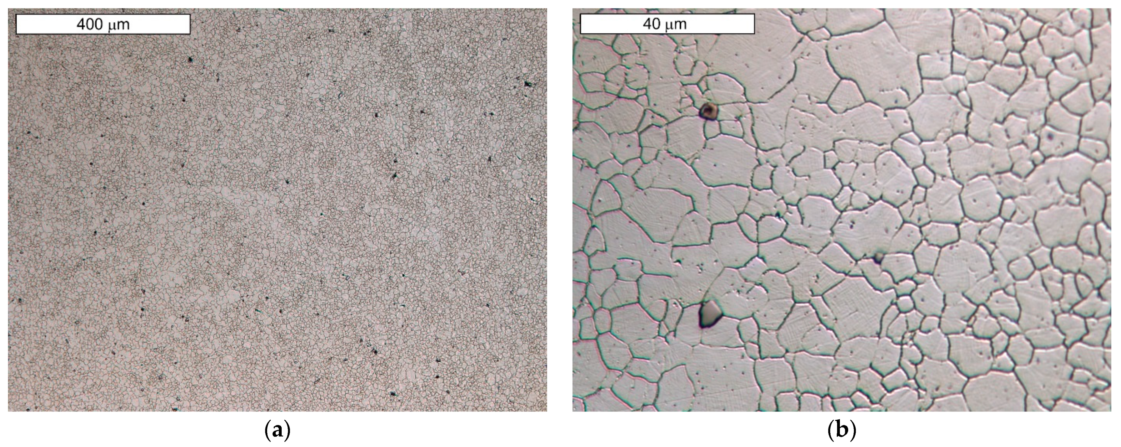 Materials 16 06370 g005