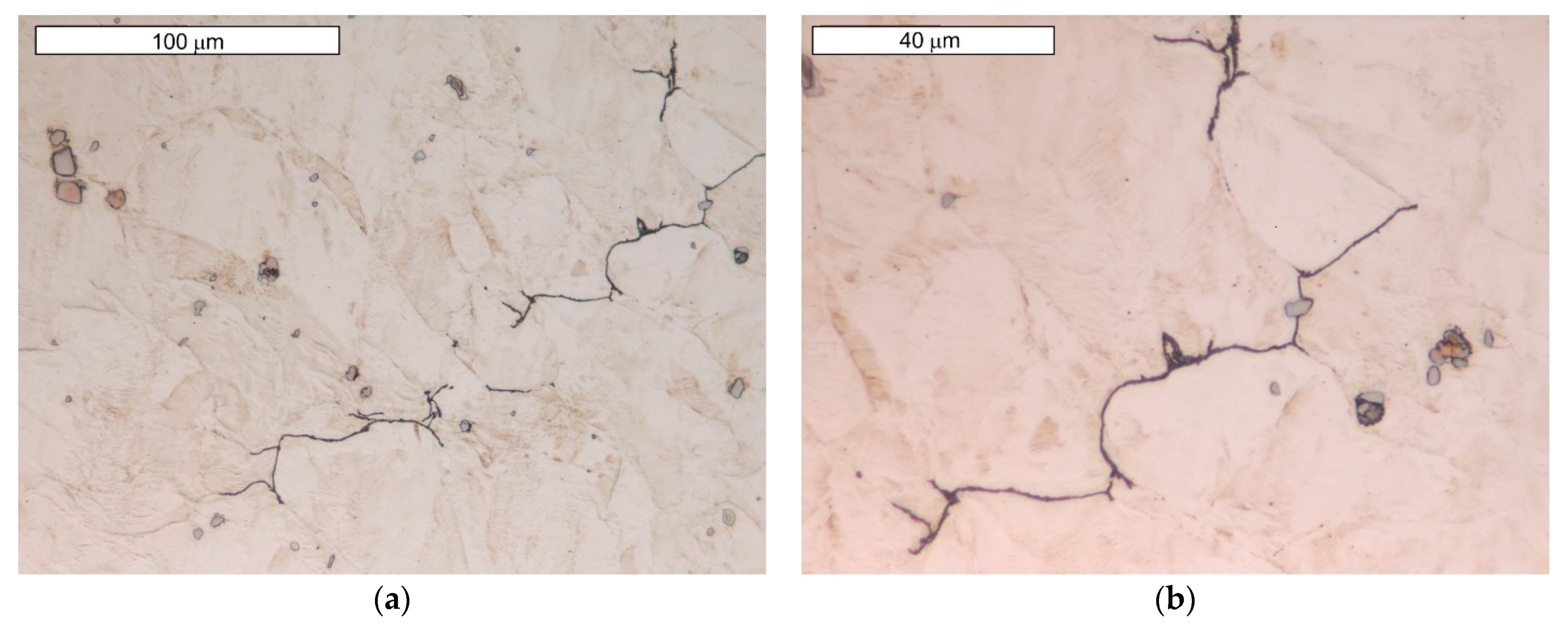 Materials 16 06370 g016