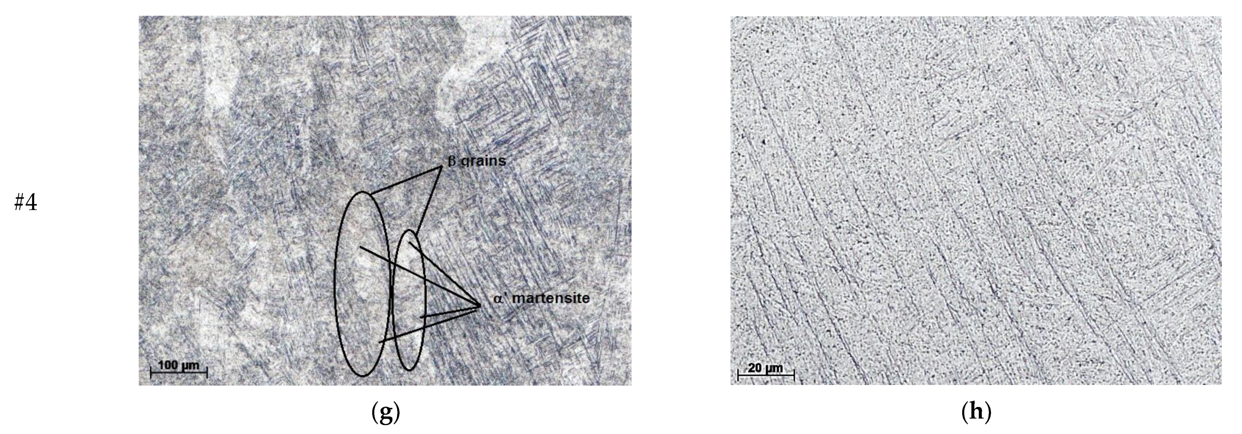 Materials 16 06383 g005b