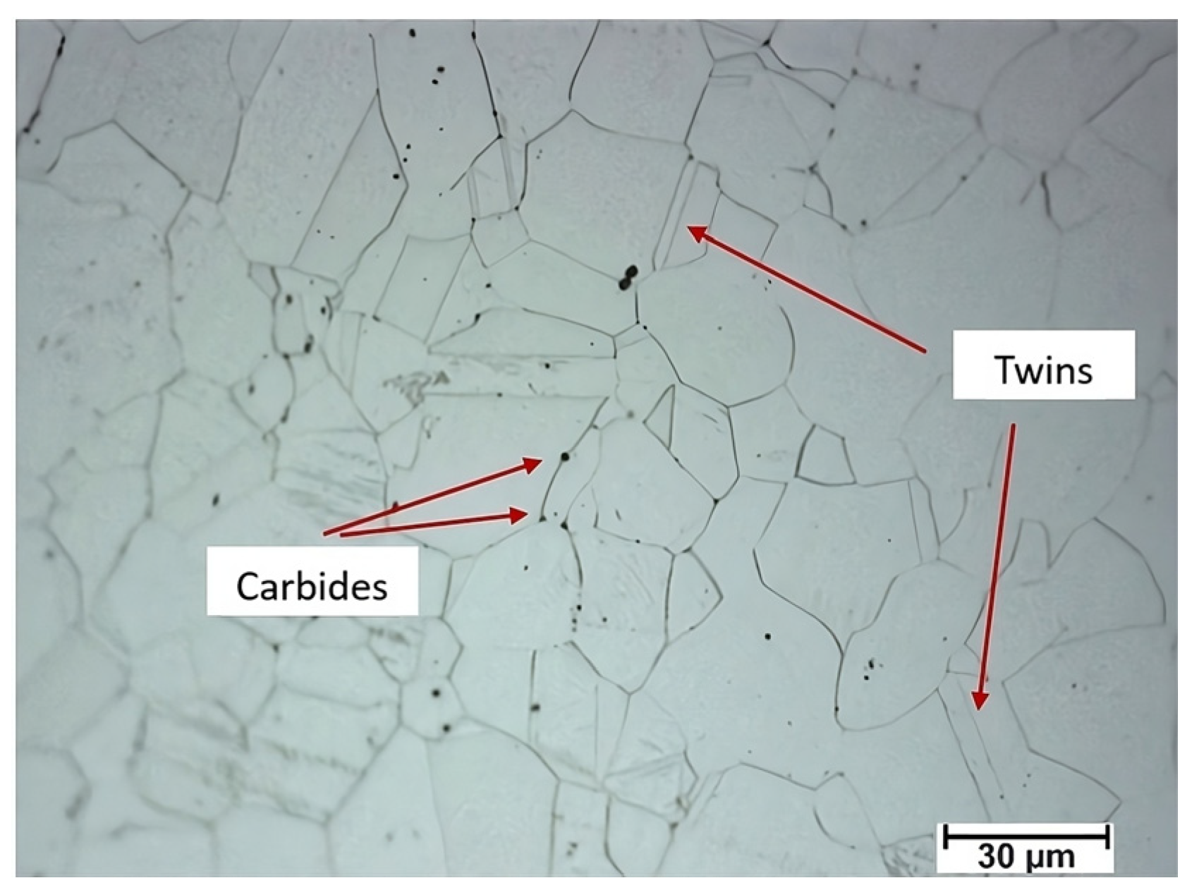 Materials 16 06416 g004