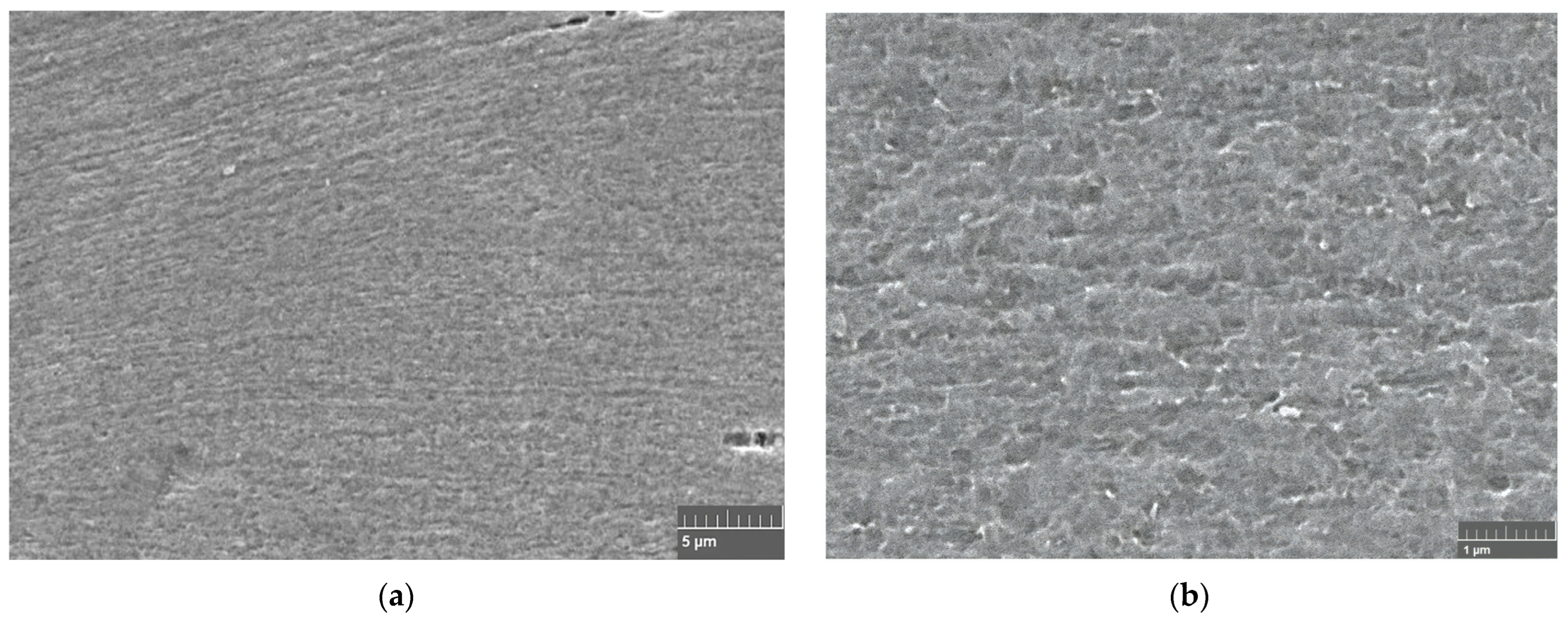 Materials 16 06416 g007