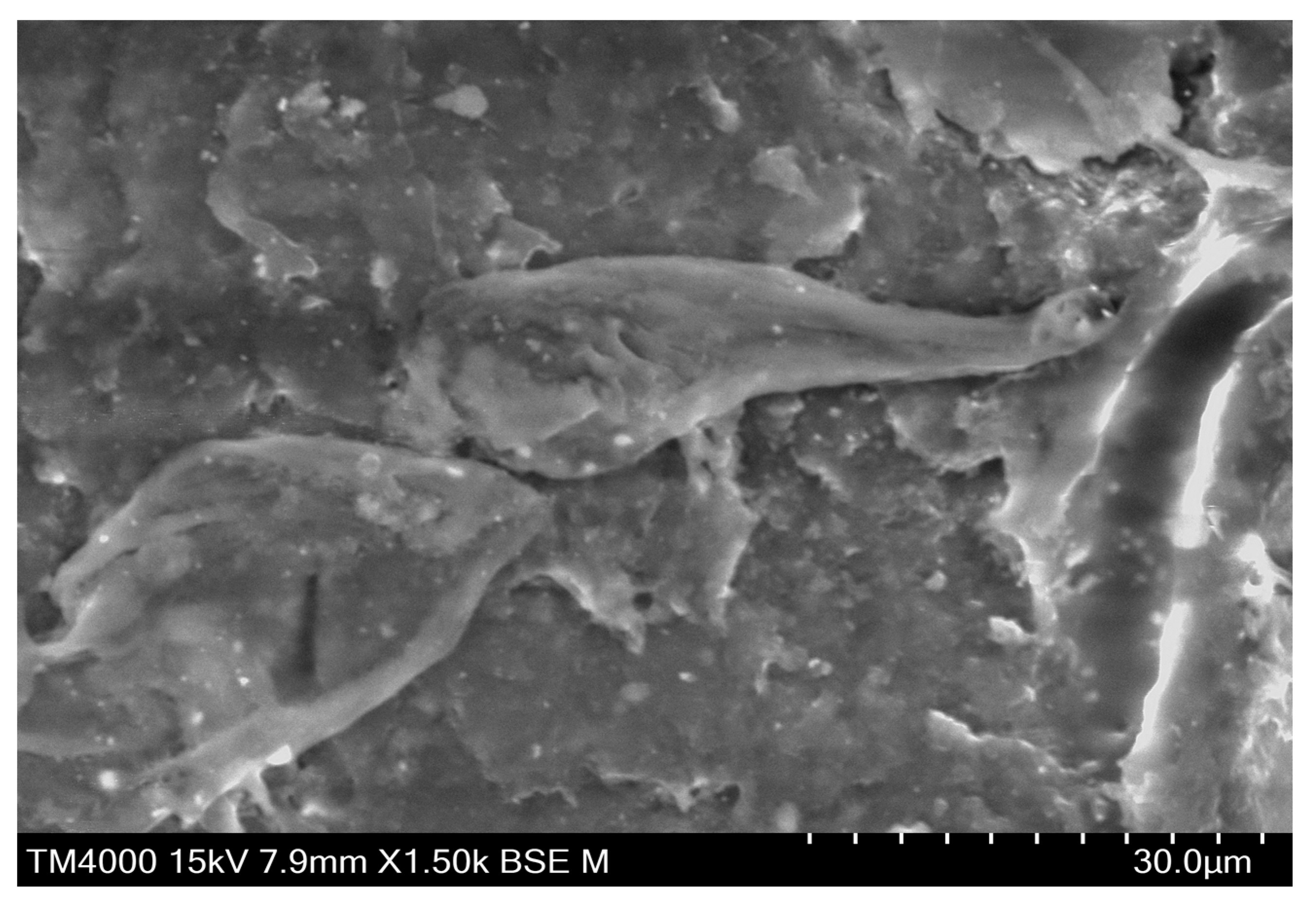 Materials 16 06428 g013