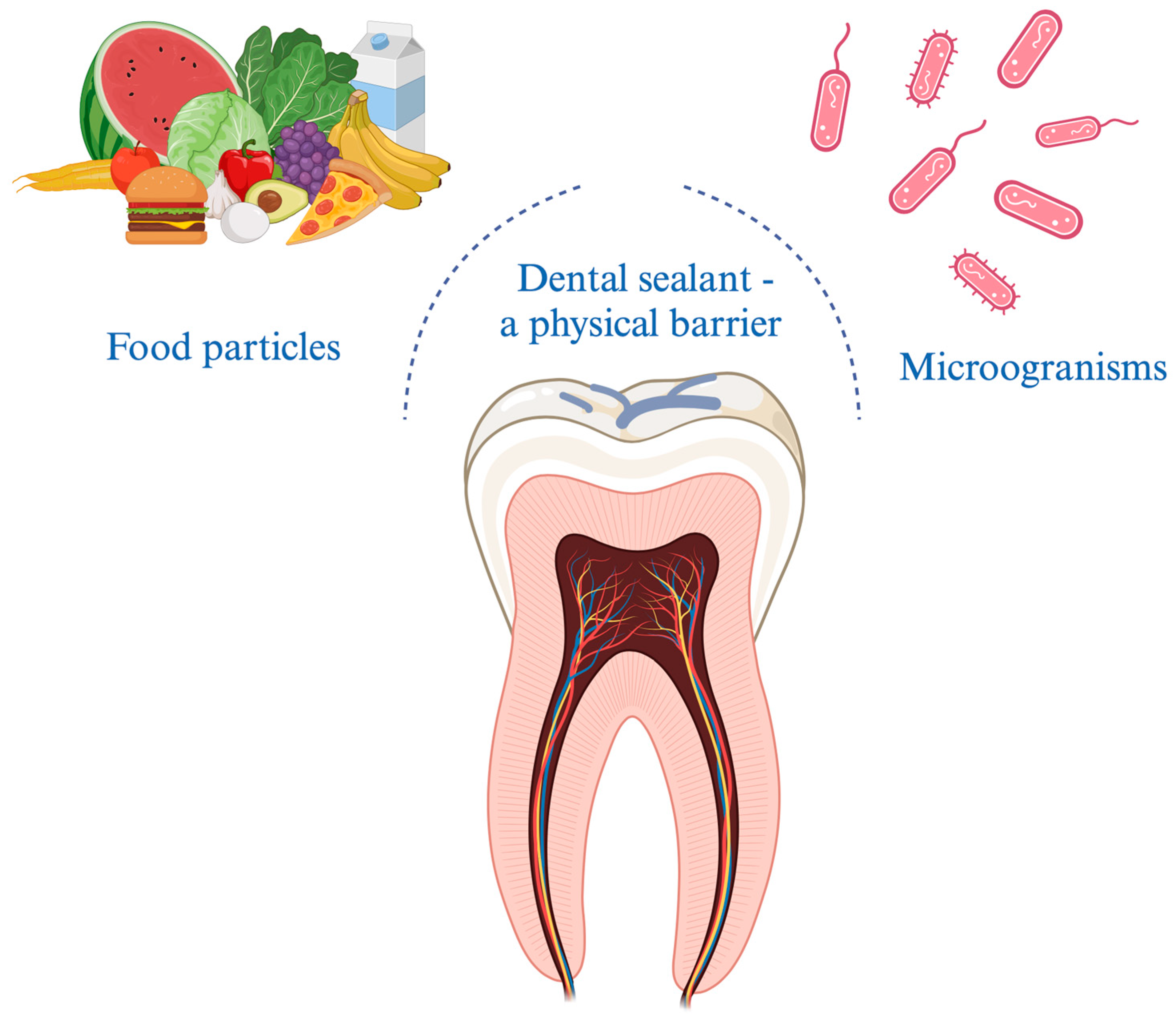 Materials 16 06453 g003